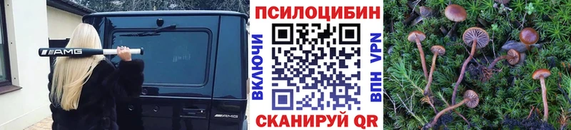 Галлюциногенные грибы прущие грибы  Рузаевка 